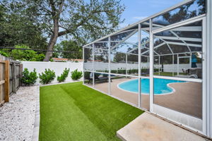 Backyard9