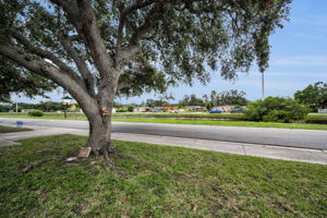 Frontyard View1