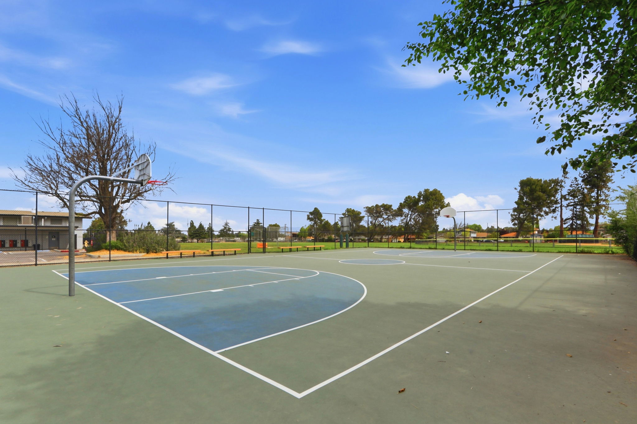 045_F8_1557 Murre Ln