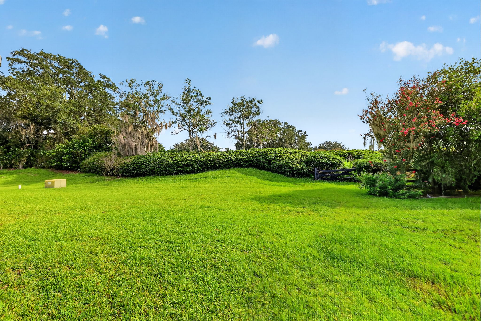Spacious Rear Yard with MATURE PRIVACY LANDSCAPING and ROOM FOR A POOL!