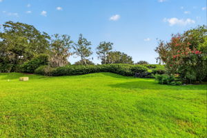 Spacious Rear Yard with MATURE PRIVACY LANDSCAPING and ROOM FOR A POOL!