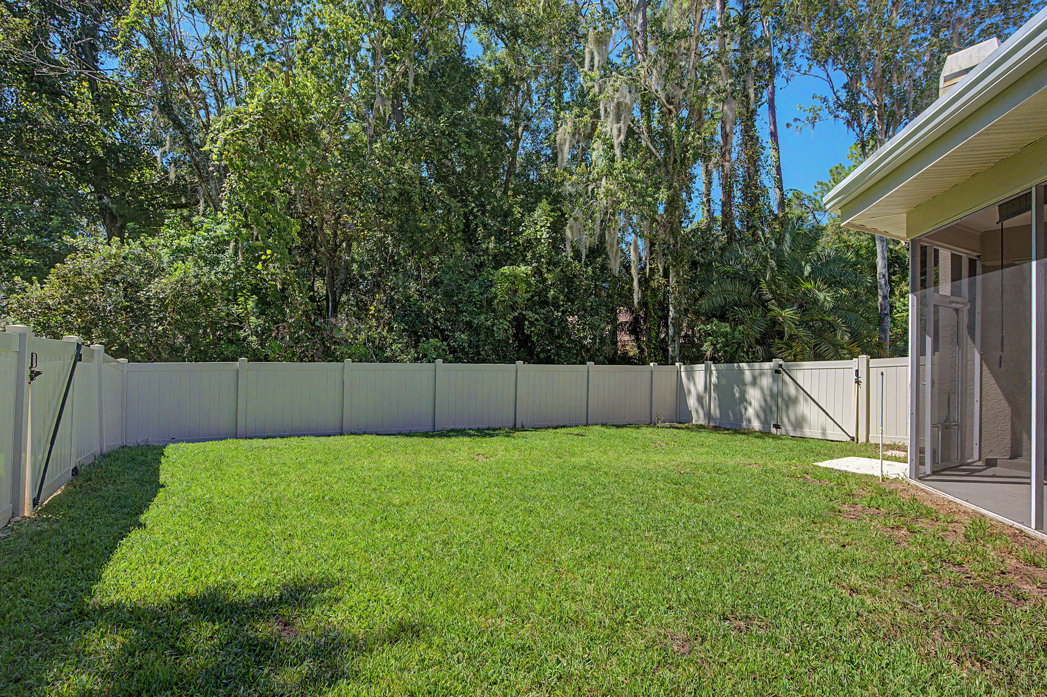 Backyard4