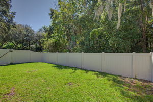 Backyard1