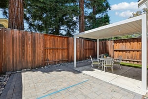 Back yard