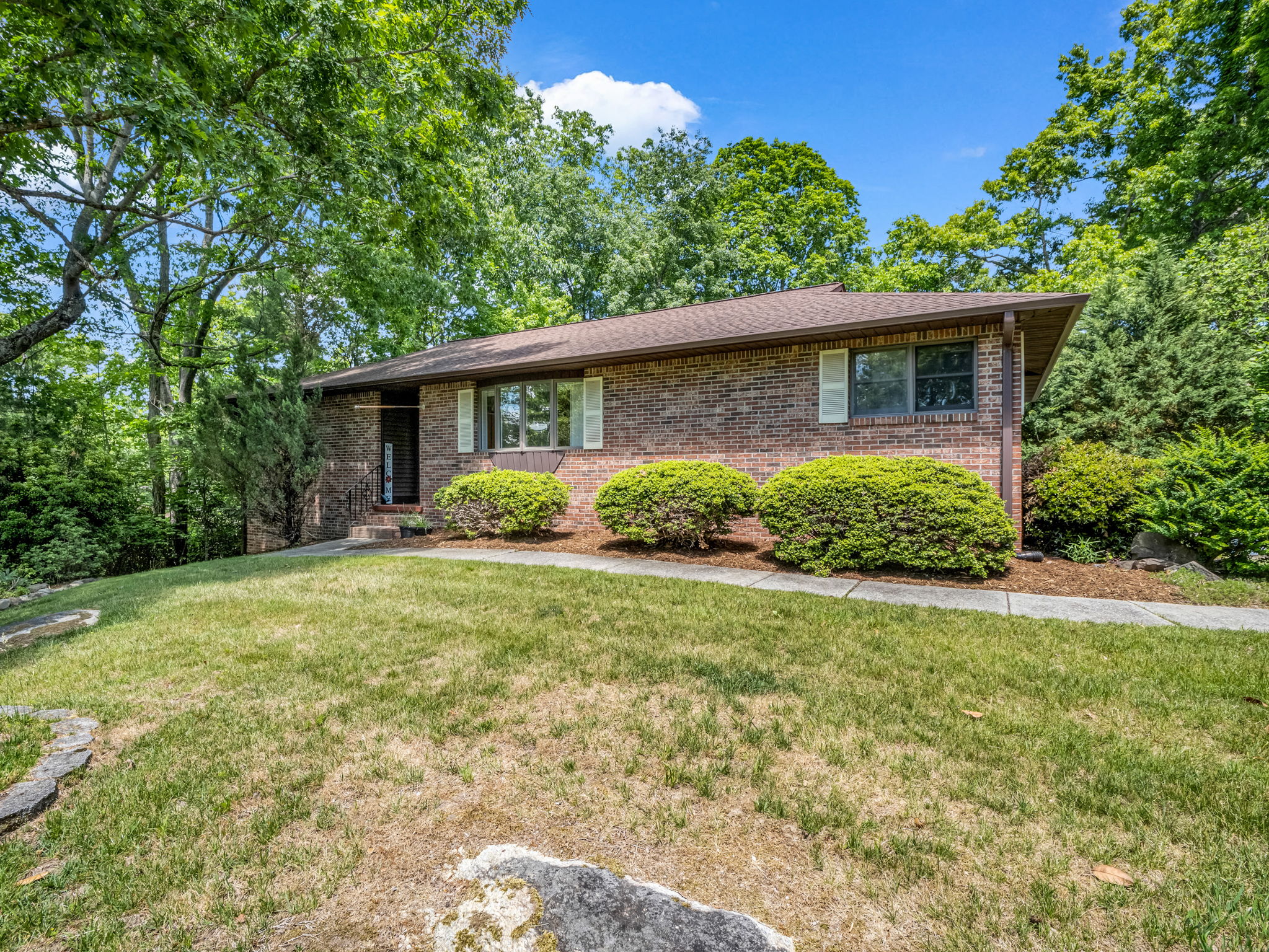  Photo 50