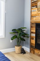  Photo 85
