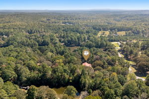  Photo 91
