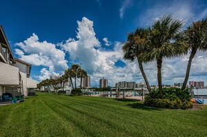 Backyard1