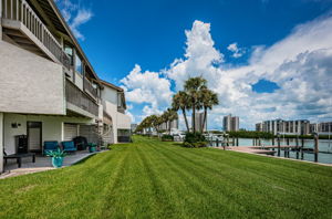 Backyard3