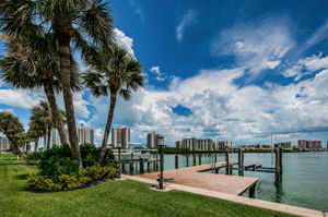 Dock1