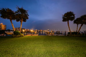 Backyard26