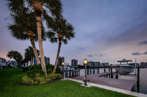Dock15