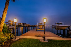 Dock20