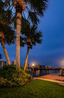 Dock22