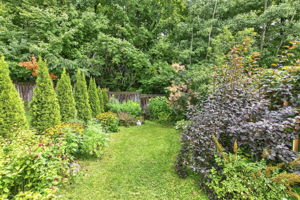  Photo 37