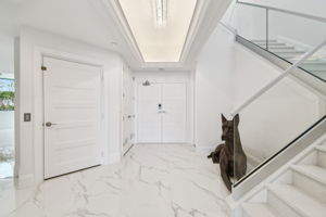 Foyer and Elevator Entrance