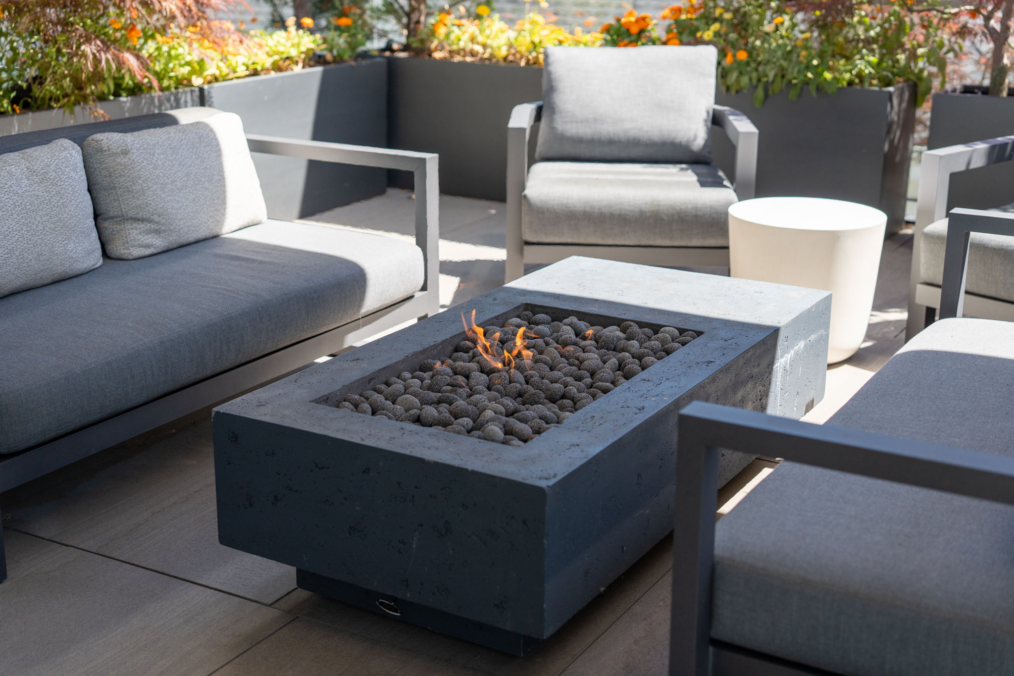 Gas fireplace