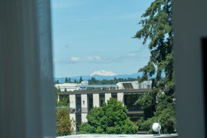 More beautiful views