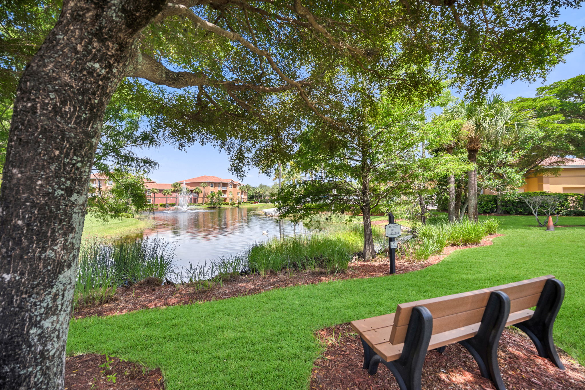 Bench View