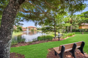 Bench View