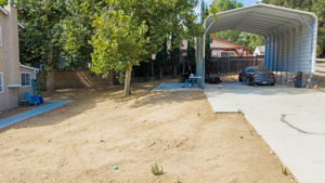  Photo 37