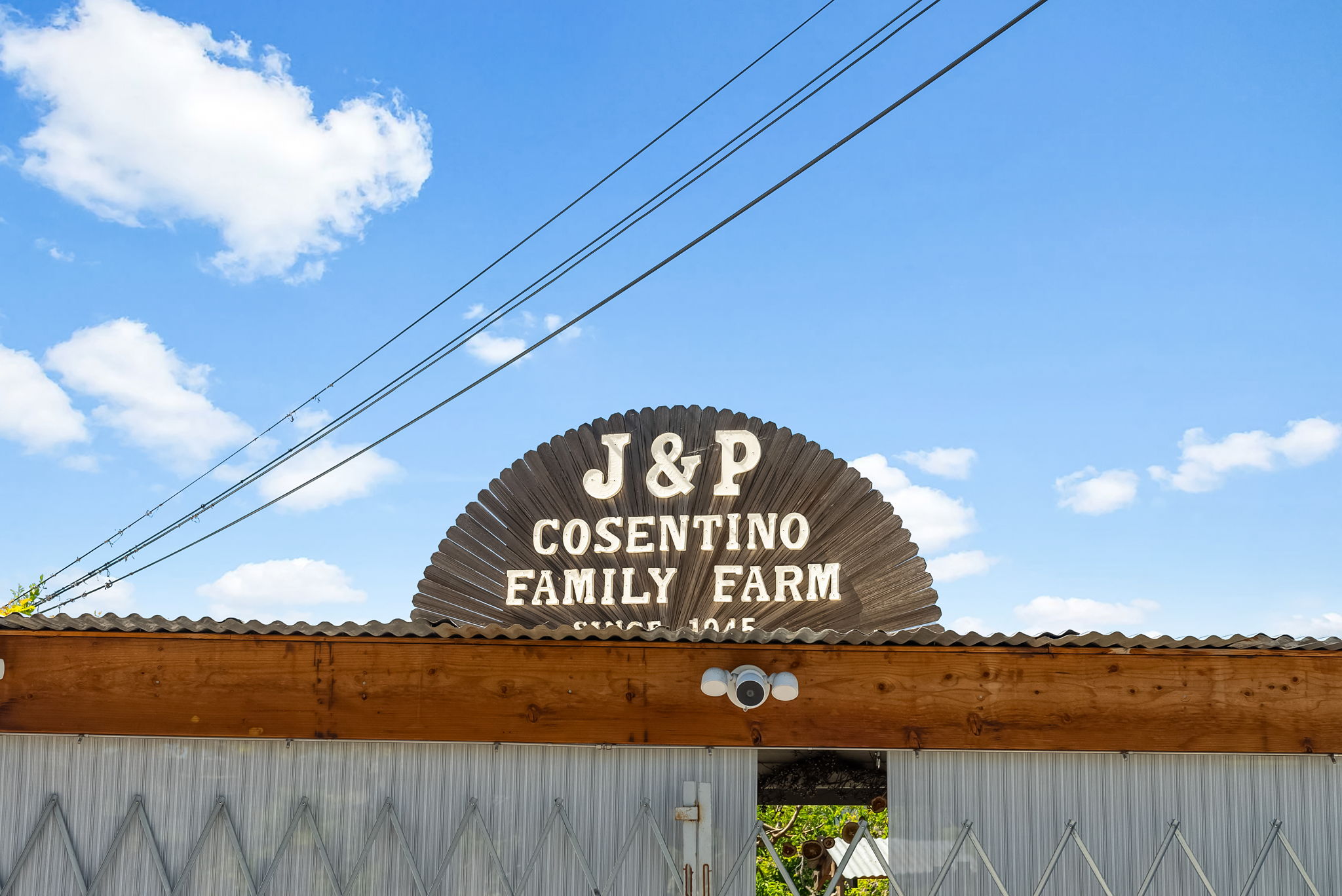 Cosentino Farms