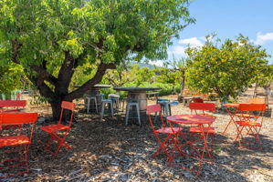Cosentino Farms