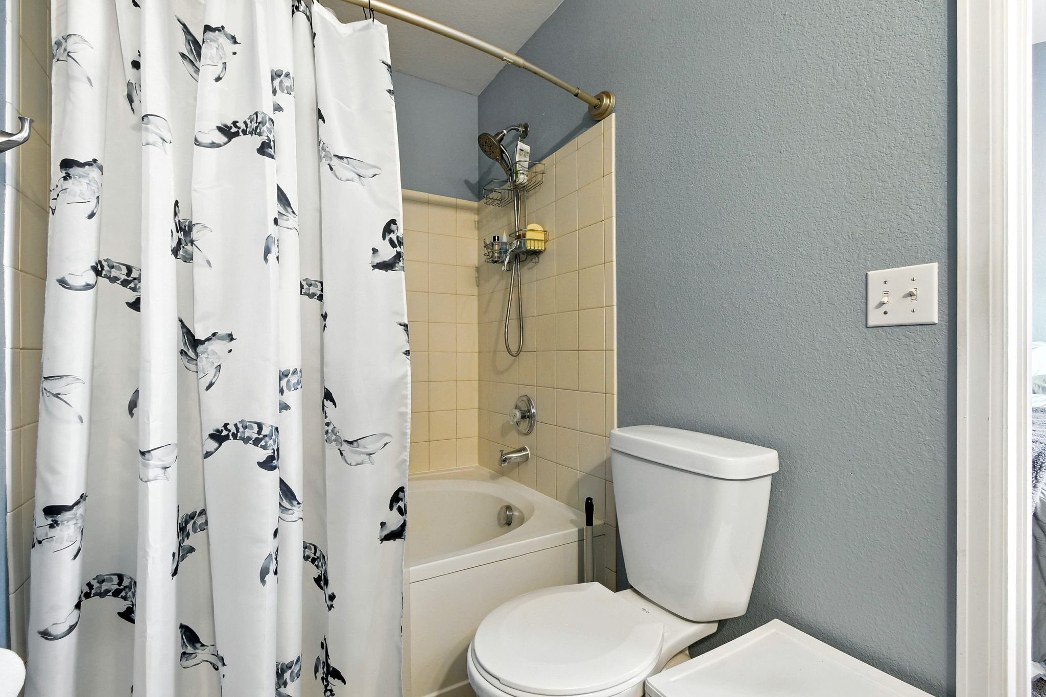  Photo 37