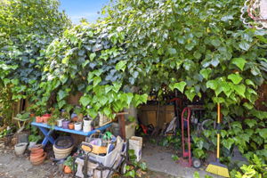  Photo 39