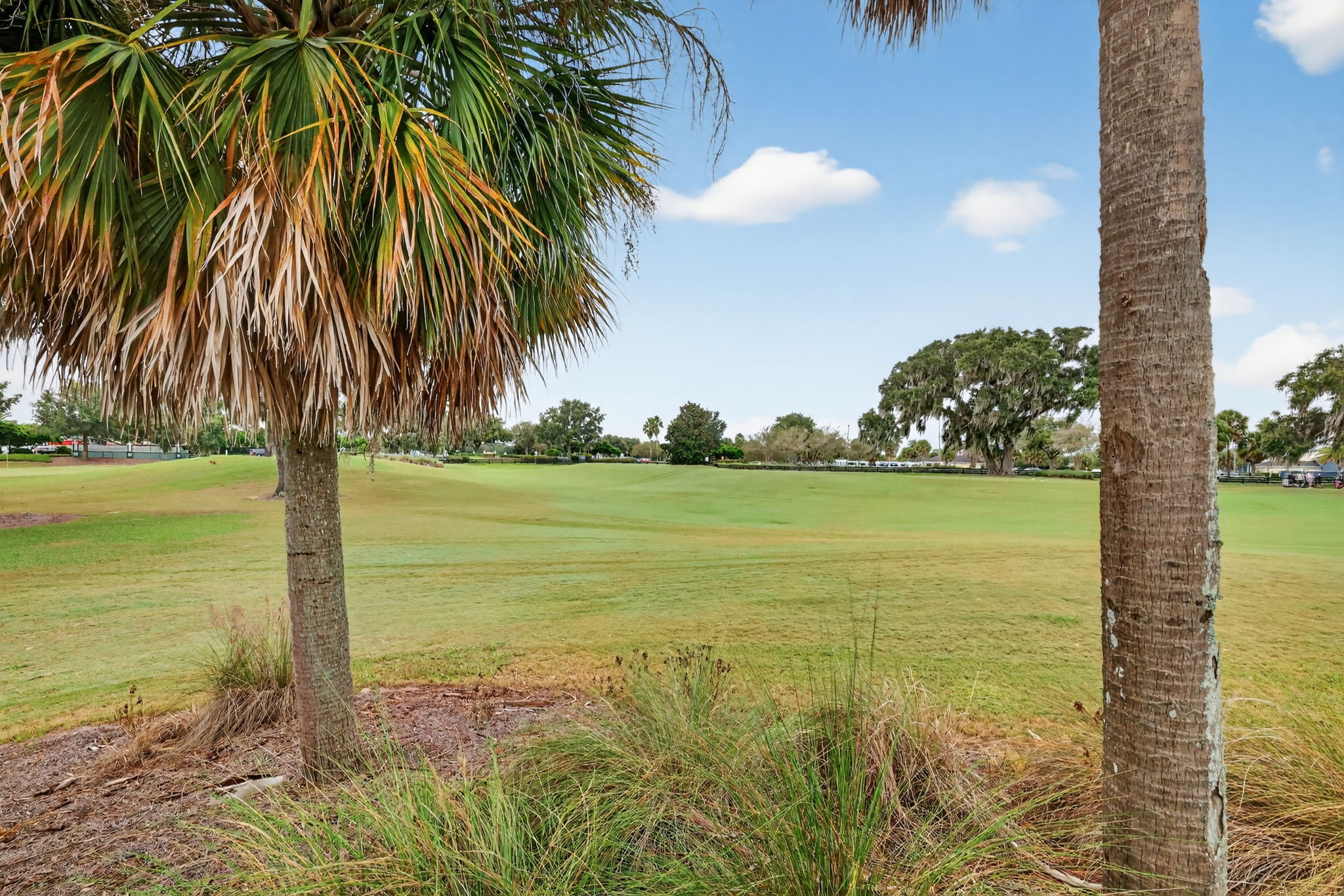 Golf Front Views