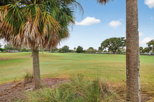 Golf Front Views