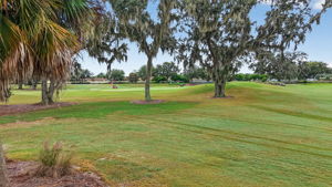Golf Front Views