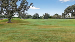 Golf Front Views