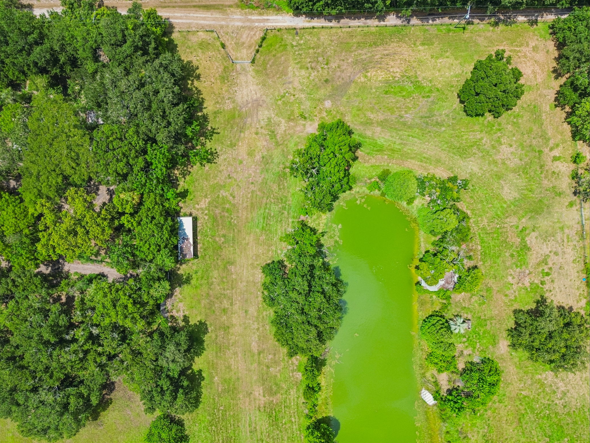 DJI_0253