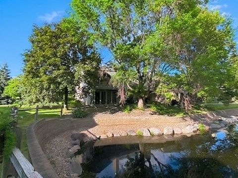 Pond View