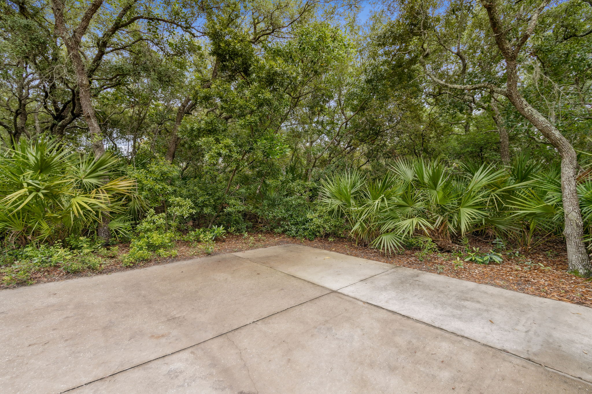 Adjacent Lot
