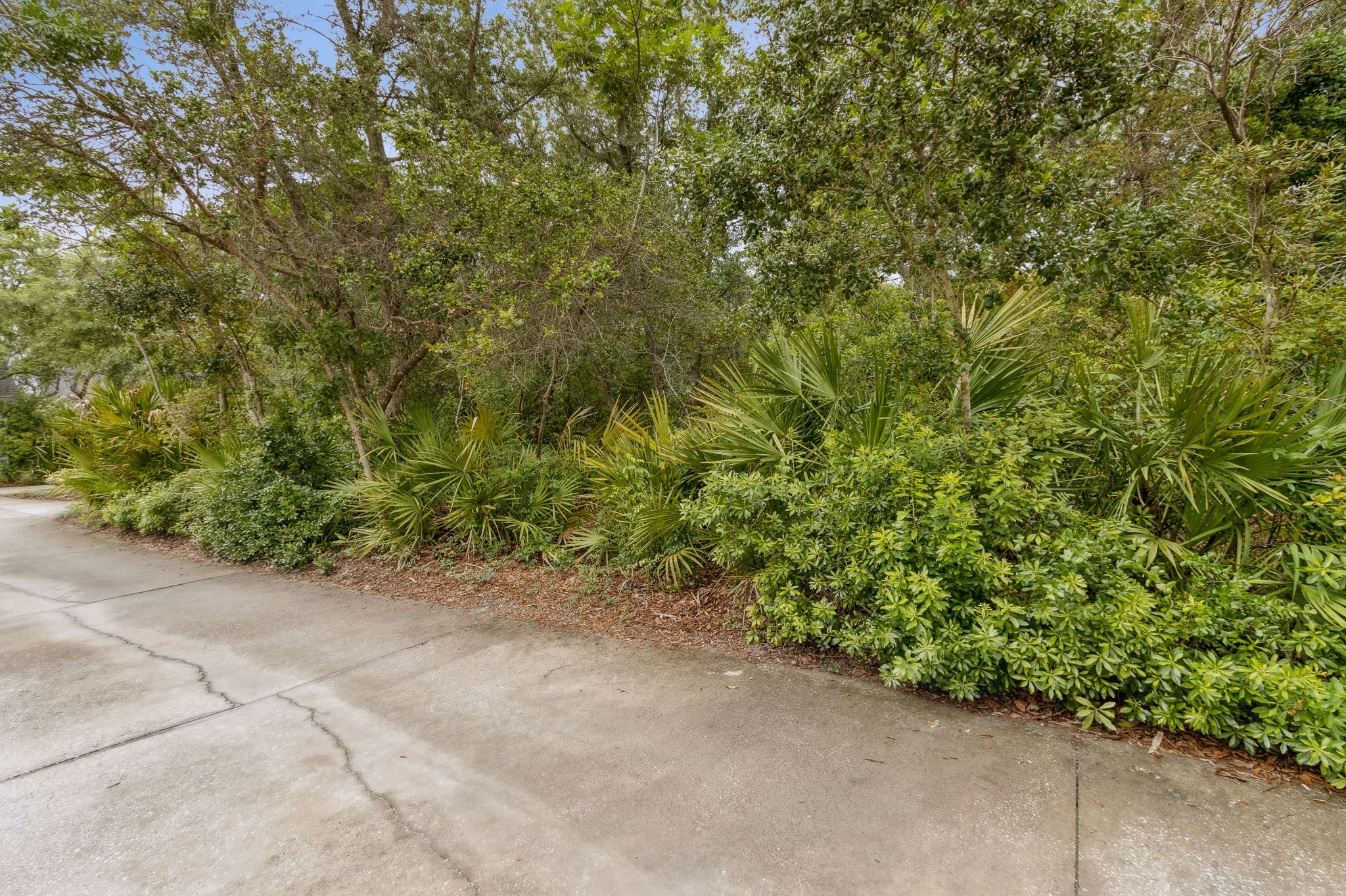 Adjacent Lot