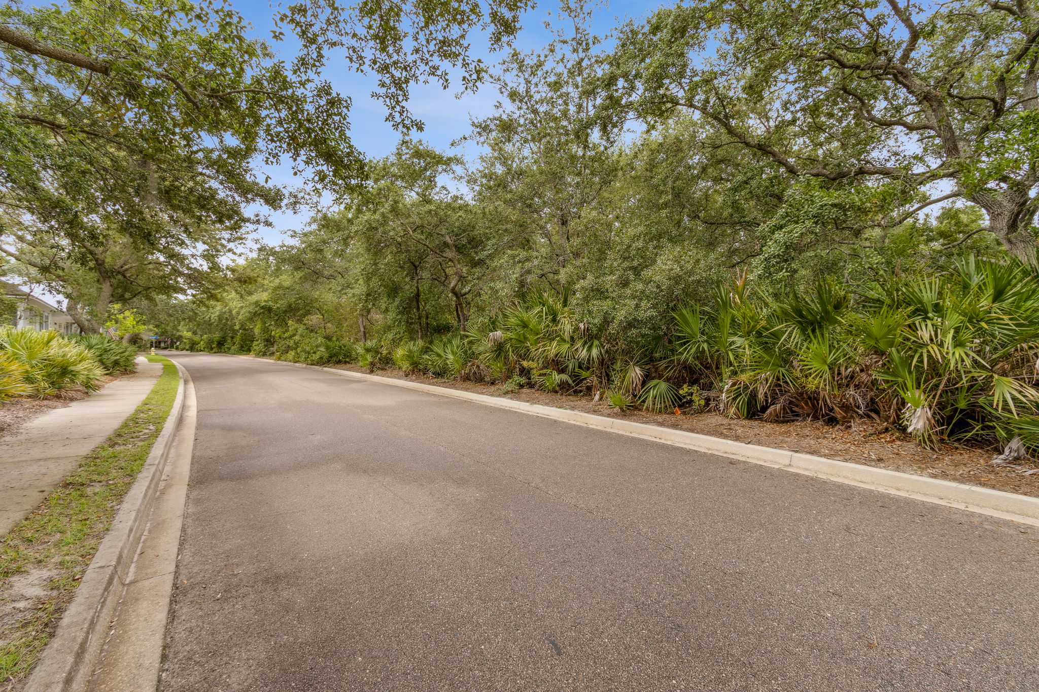 Adjacent Lot