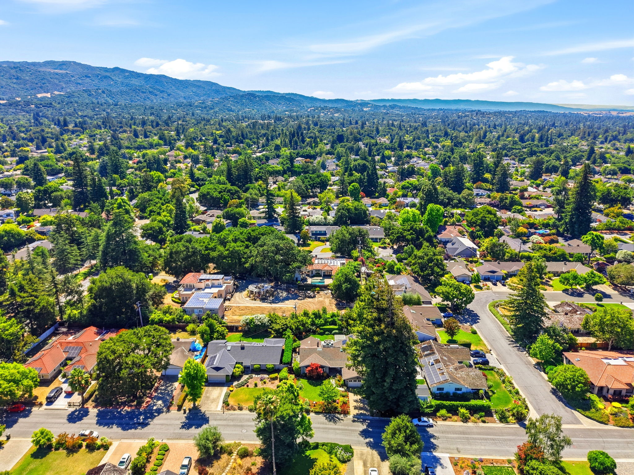 010_F8_AERIAL_1564 Wessex Ave