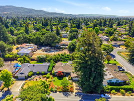 008_F8_AERIAL_1564 Wessex Ave