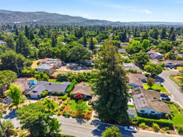 009_F8_AERIAL_1564 Wessex Ave