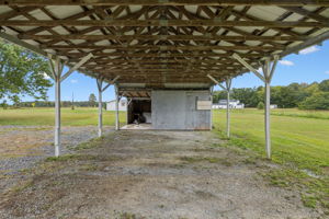  Photo 45