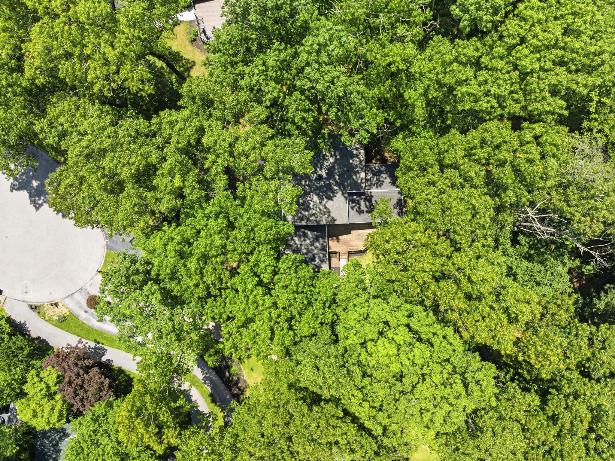 z Drone (4)