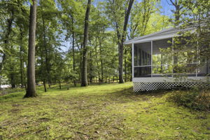 Rear Exteriors (5)