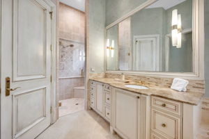 Master Bath - Vanity and Shower