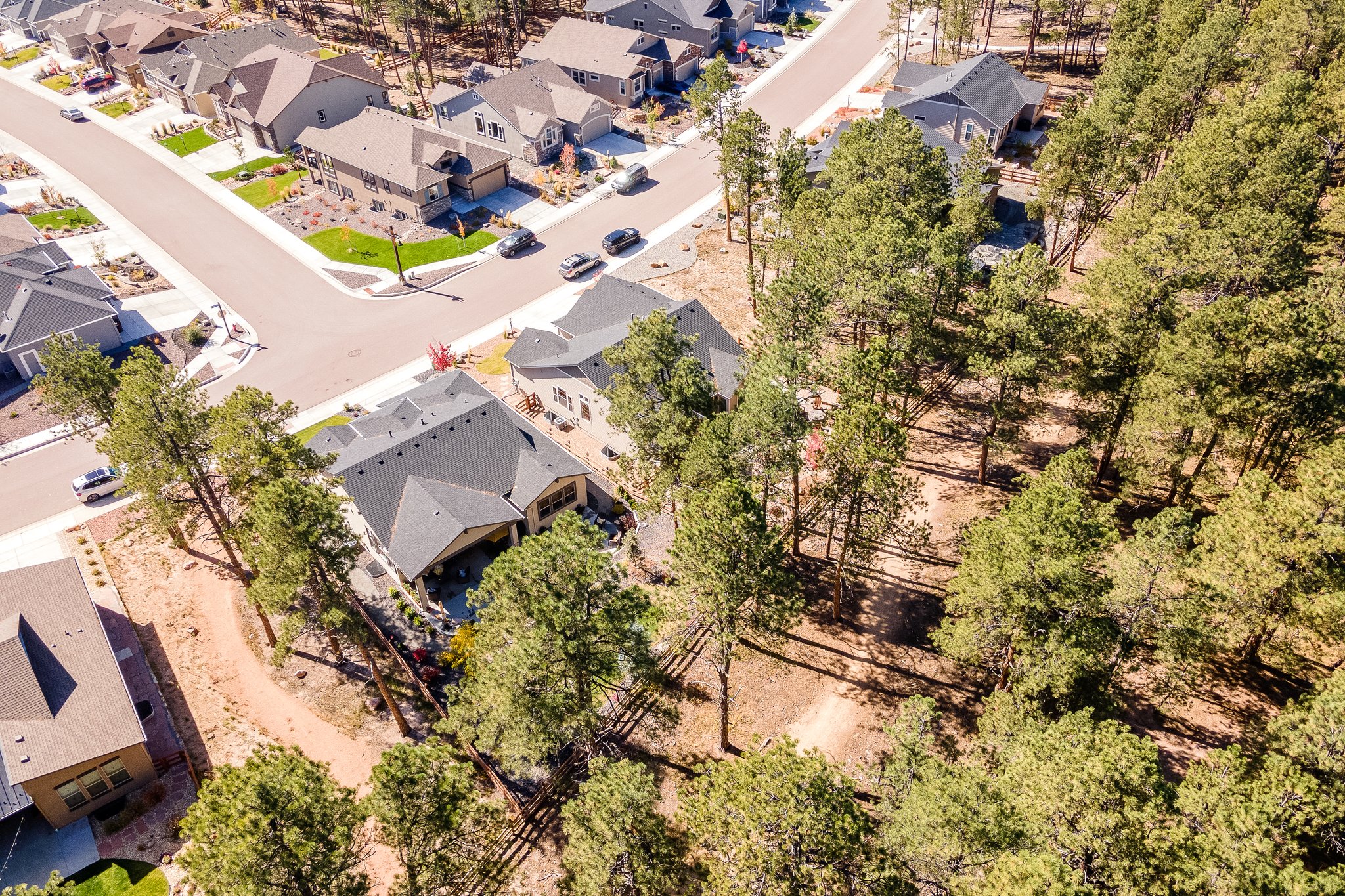 1566 Catnap Ln, Monument, CO 80132, USA Photo 50