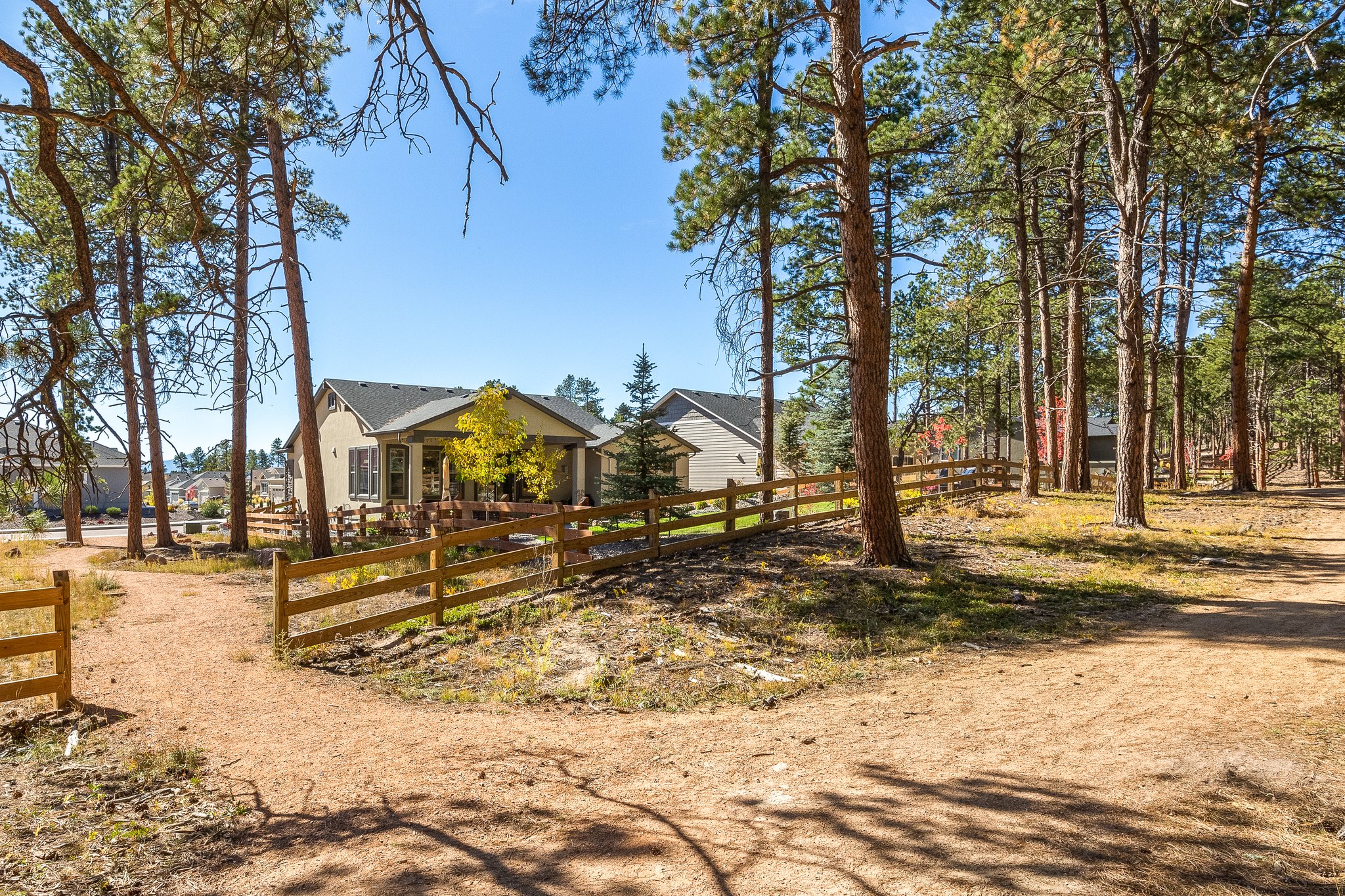 1566 Catnap Ln, Monument, CO 80132, USA Photo 42