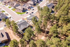 1566 Catnap Ln, Monument, CO 80132, USA Photo 49