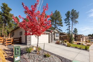 1566 Catnap Ln, Monument, CO 80132, USA Photo 4