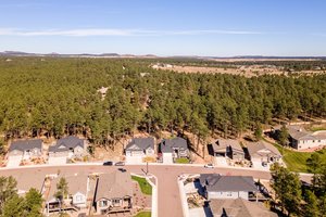 1566 Catnap Ln, Monument, CO 80132, USA Photo 47